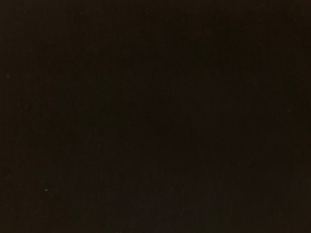 イニシャル刺しゅうの2WAYバッグ（生地：黒）