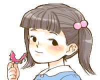 装置Set